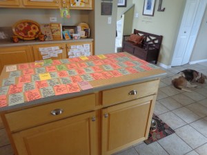 Soccer spring 2013 038