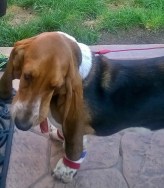 WP_20160720_18_54_54_Pro