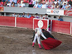 250px-Torero