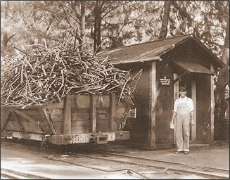 Sugar-Cane-Weighing-Station