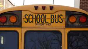 back bus education school