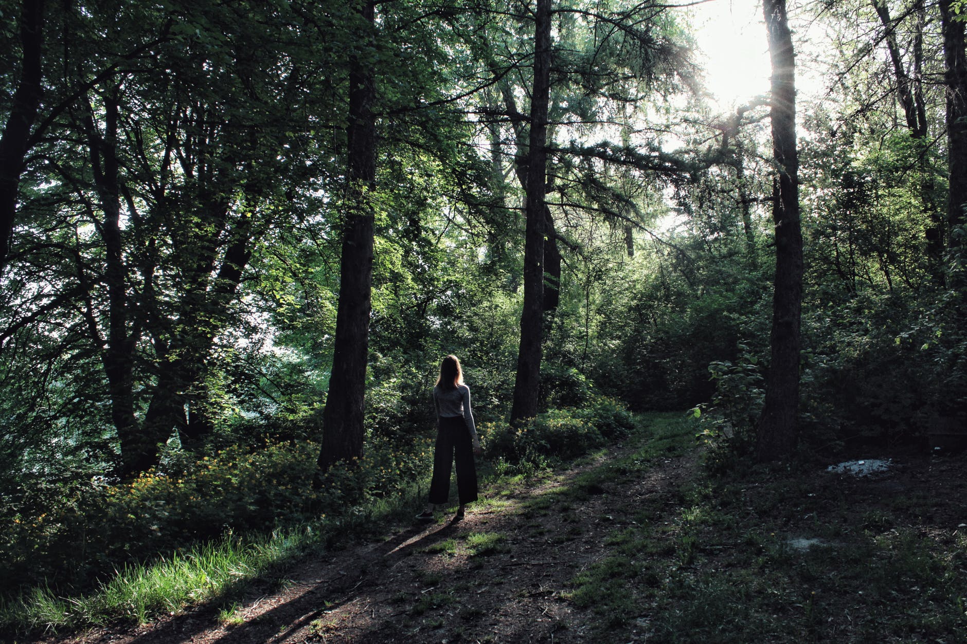 woman standing beside tree