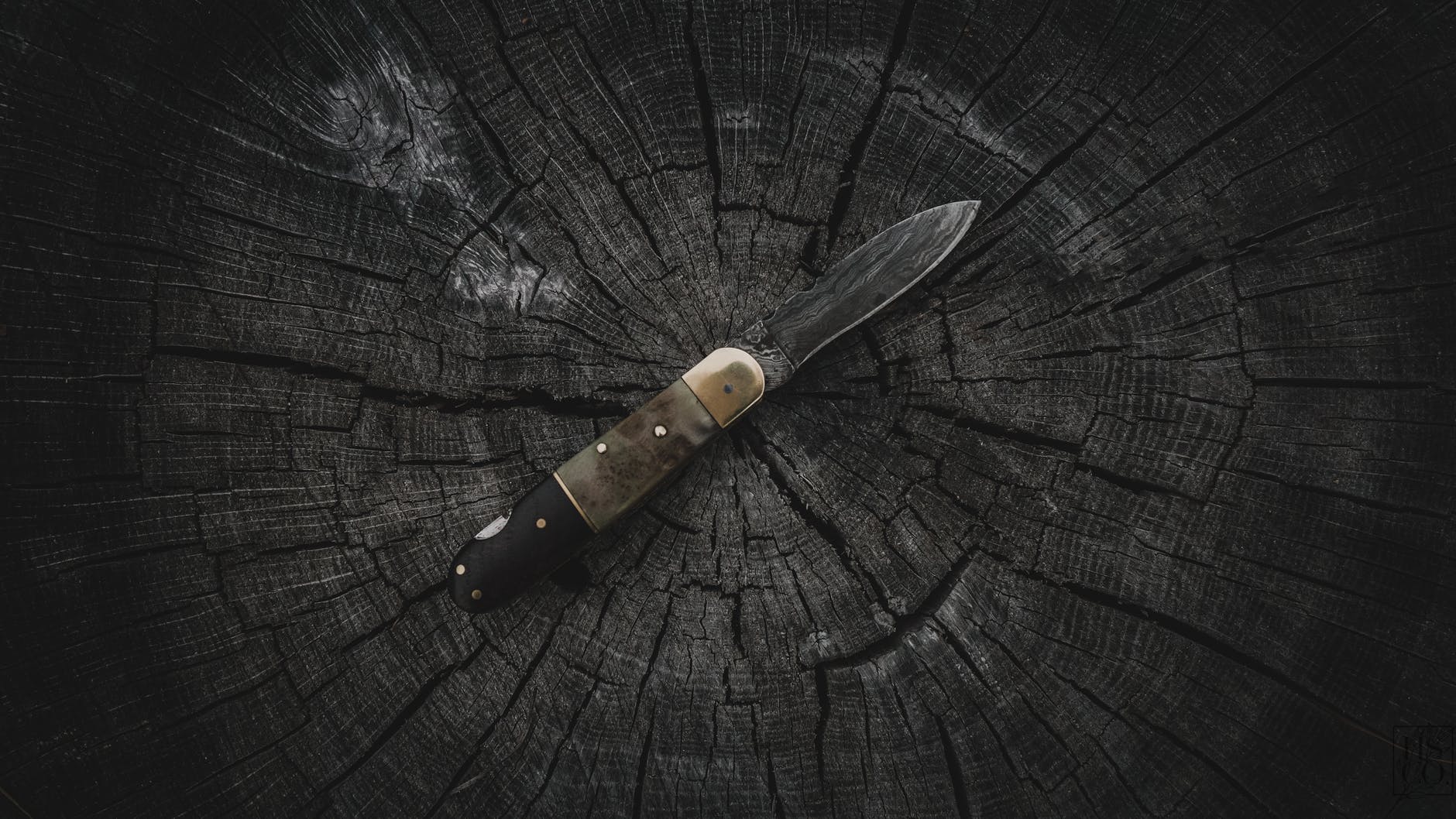 folding knife