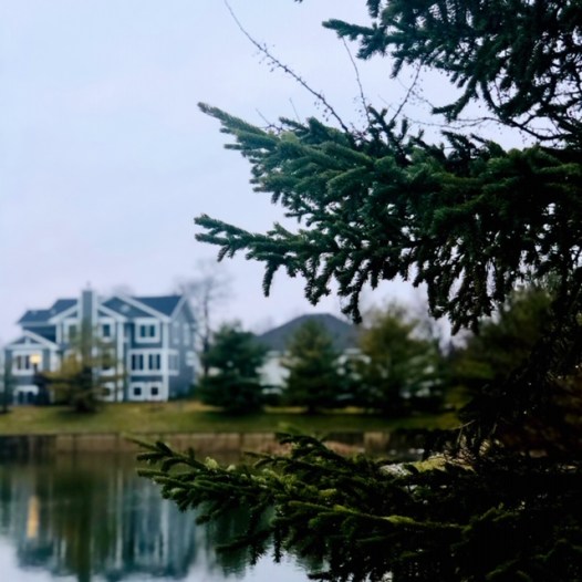 FE2D53B0-FB6F-41DC-806A-C705BAED569D