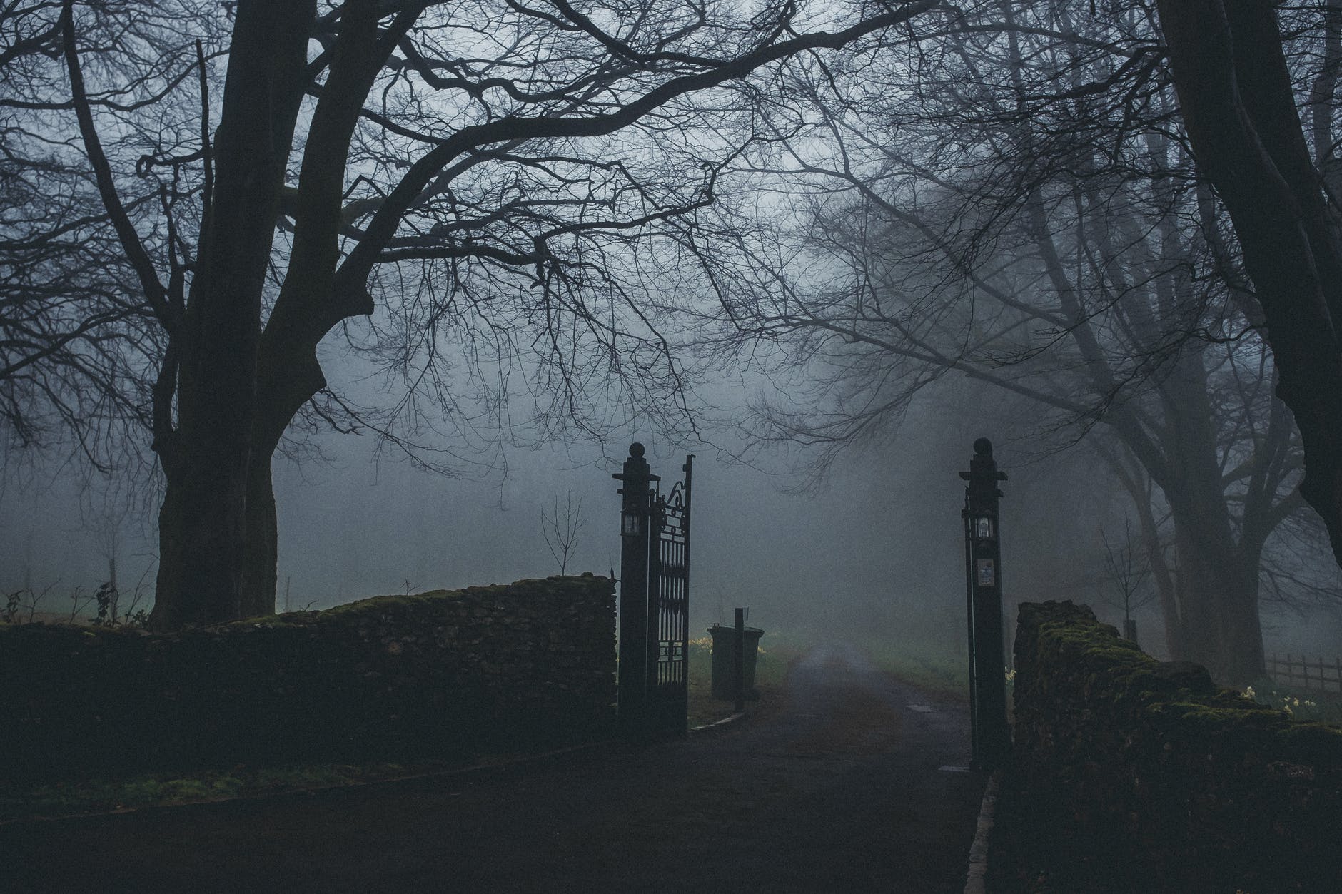 black concrete road near forest