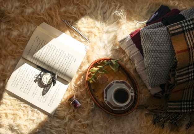 diary and coffee on hairy carpet