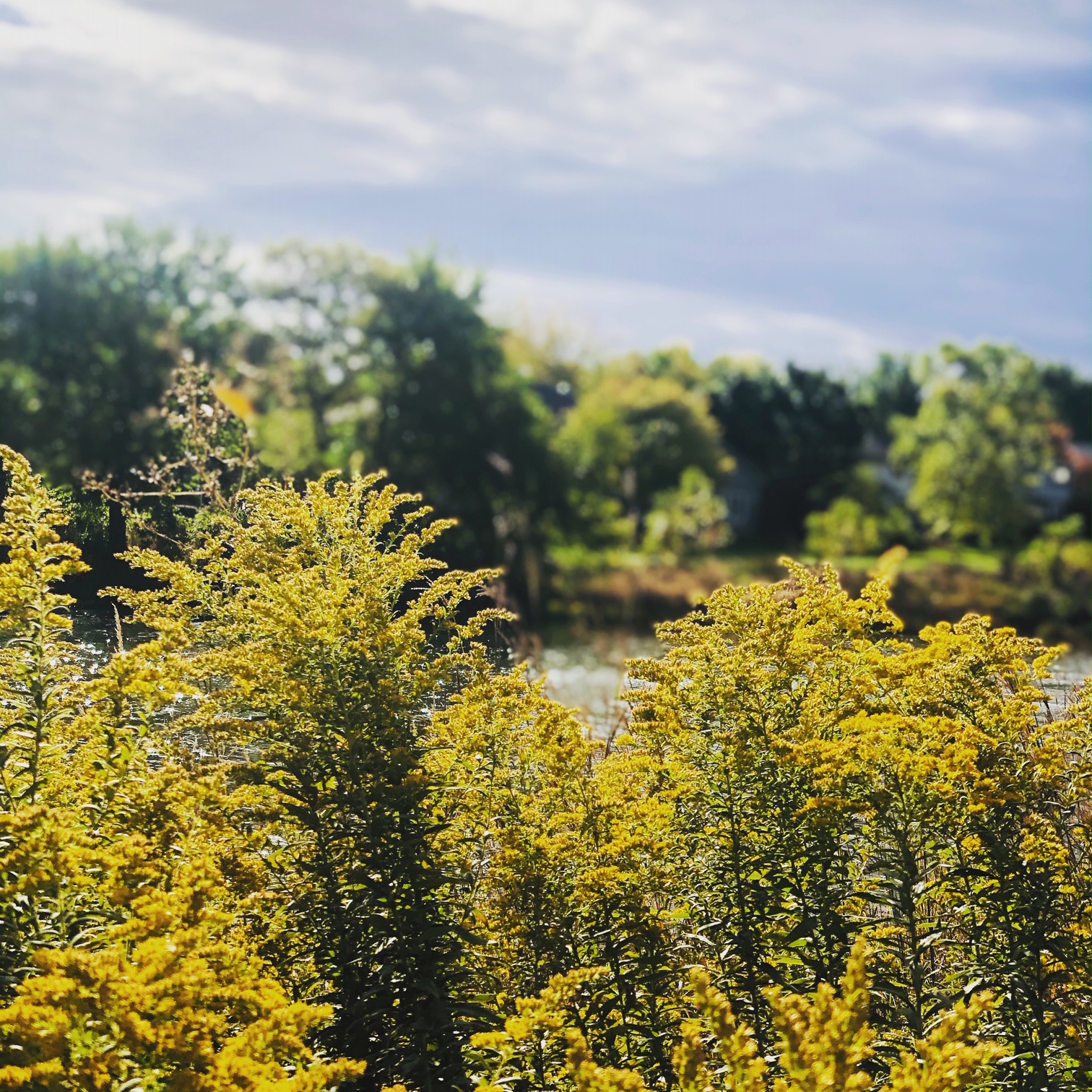 737309BE-2B5C-487C-B825-CCABAC25B78E