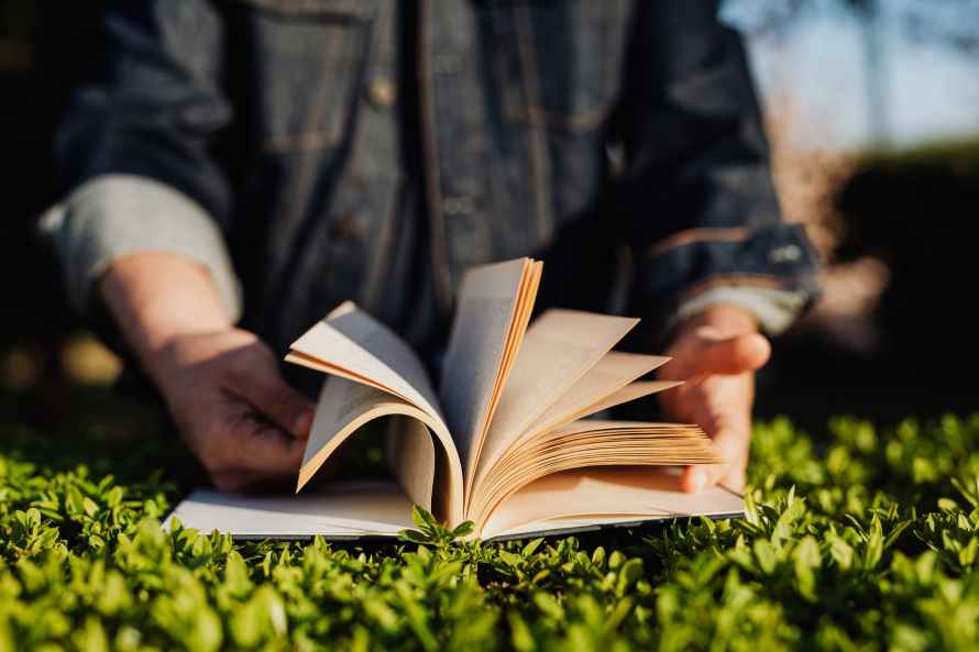 crop man reading book on grass in sunshine