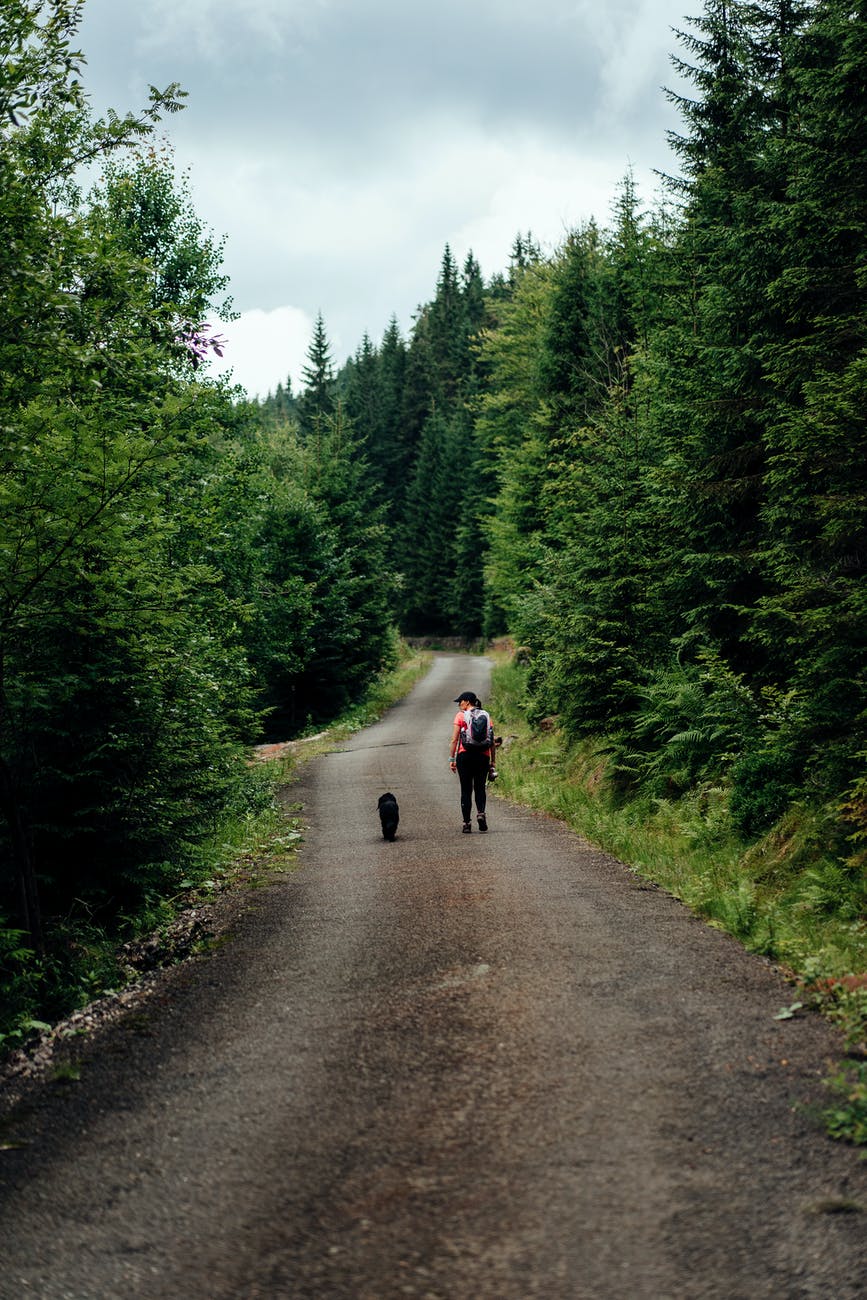 person walking in road