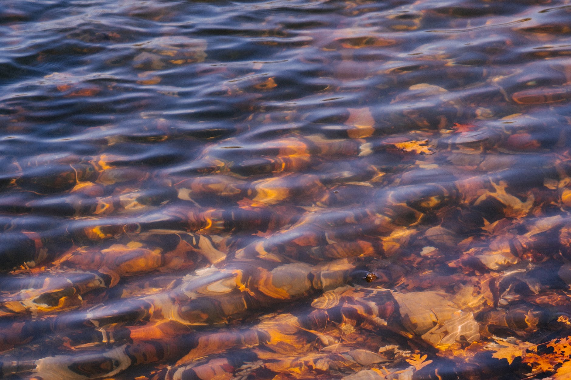 rippling water of river on autumn day