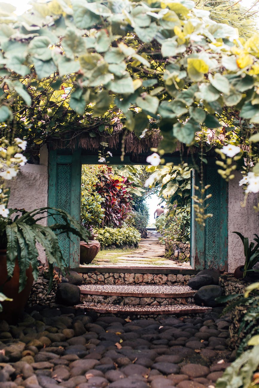 green trees and plants along the pathway of a garden